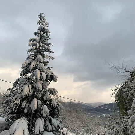 House Official Apartman Ni